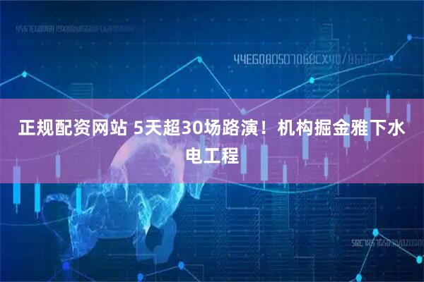 正规配资网站 5天超30场路演！机构掘金雅下水电工程